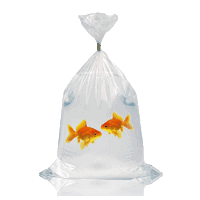 Fish Poly Bags (Leak-Proof)