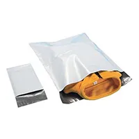 2 Mil Poly Mailers